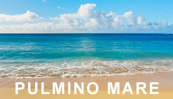 Pulmino per le tue vacanze
